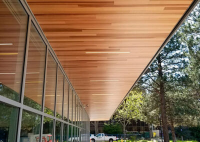 Precision Architectural Wood: Elevating Interiors with Linea Ceiling & Wall Systems and Mark Allen Associates